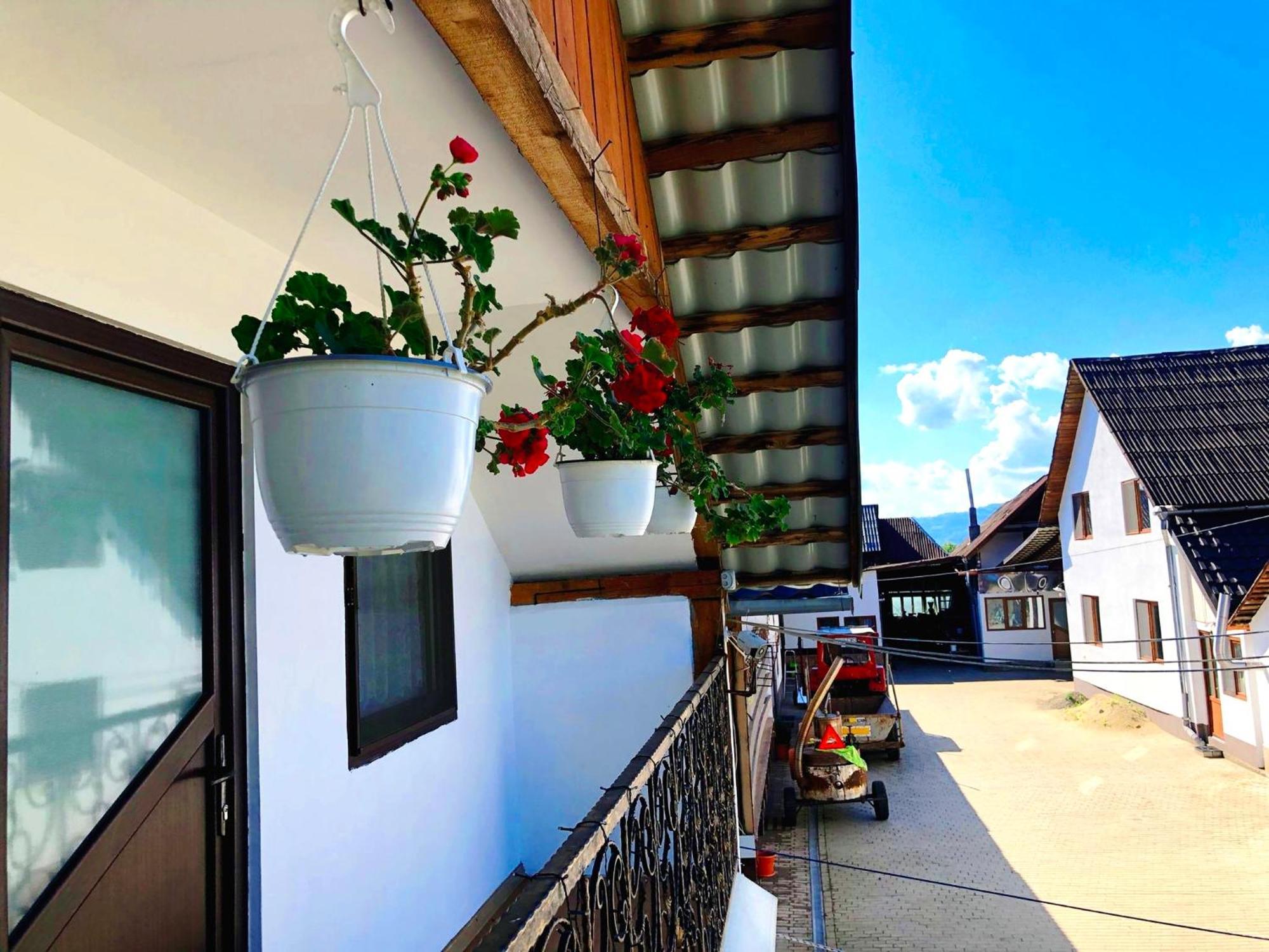 Отель Casa Paul Вишеу-де-Сус Экстерьер фото